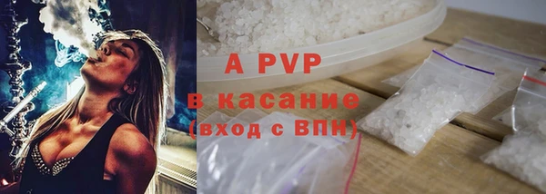 хмурый Арсеньев