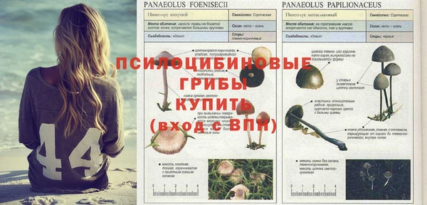ешки Липки