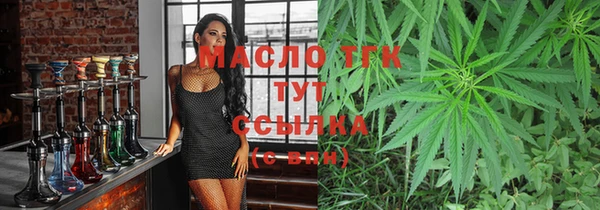 хмурый Арсеньев