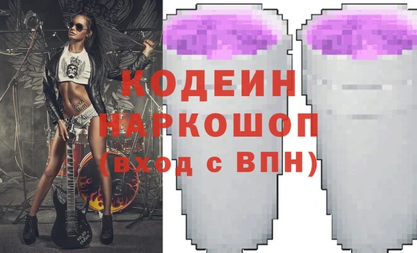 хмурый Арсеньев