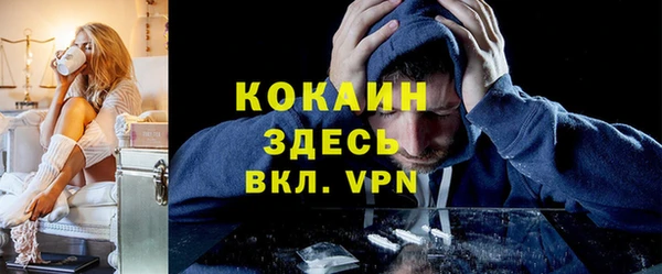 хмурый Арсеньев