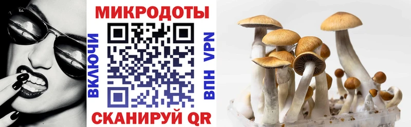 закладка  Лахденпохья  Псилоцибиновые грибы мухоморы 